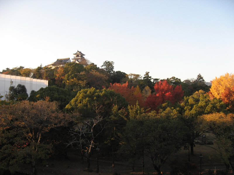 高知城の紅葉１