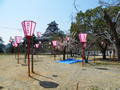 桜の開花情報 － ３月２９日