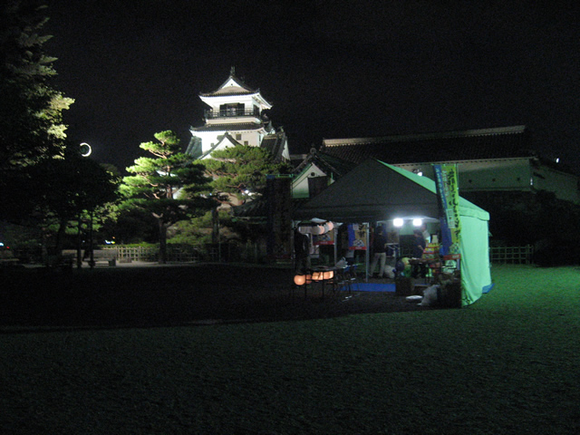 夜の高知城