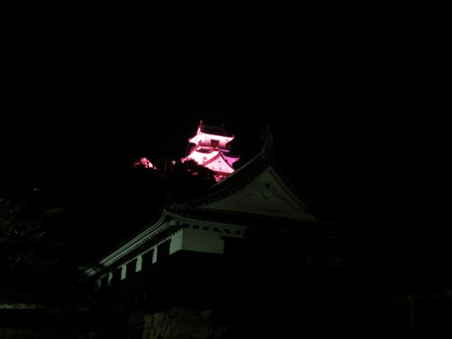 高知城ライトアップ